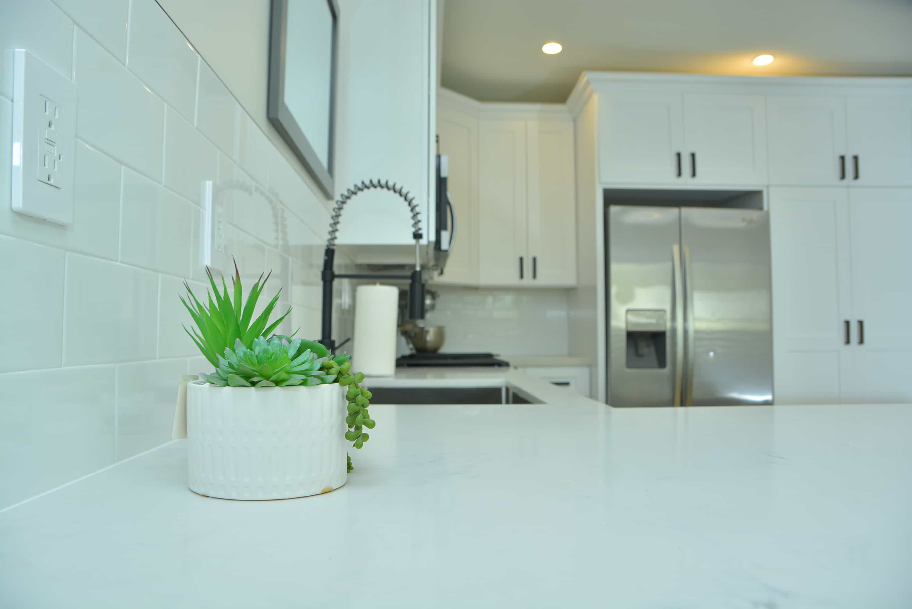 A cute green succulent provides a color accent in a newly remodeled black and white kitchen in Beverlywood, CA. Remodeling by design-build firm A-List Builders.