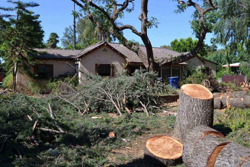 The back yard is cleared of trees and debris ahead of a custom home build on a lot in Sherman Oaks, CA by Los Angeles design-build firm A-List Builders.