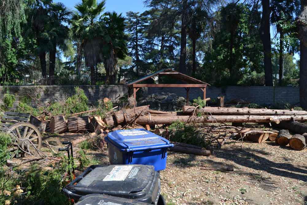 Trees are cut down for a complete custom home build project on a property in Sherman Oaks, CA by upscale Los Angeles design-build firm A-List Builders.
