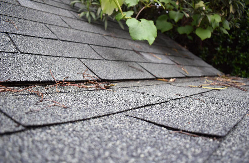 Old roof shingles in need of renovation. Let A-List Builders handle your Los Angeles area home remodeling or renovation project!