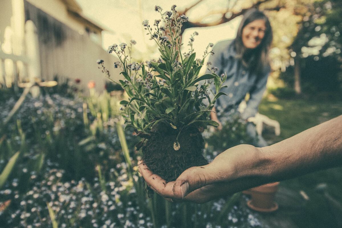 Man gardening with a woman